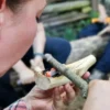 Survivalcamp Raum Luckenwalde