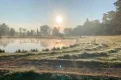 Survivalcamp Raum Luckenwalde