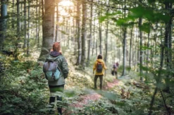 Survival-Intensivkurs Ferdinandshof (3 Tage)