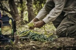 Survival Tag Bremen Stuhr