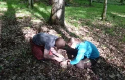 Survival Tag Greifenstein