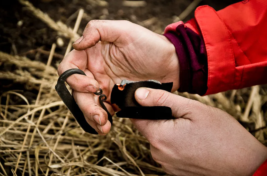 Survival Tag Hamburg