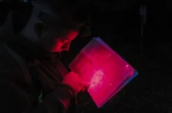 Survival Training Raum Stuttgart (Karten und Kompass lesen)