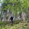 Survival Training Schramberg (1 Tag)