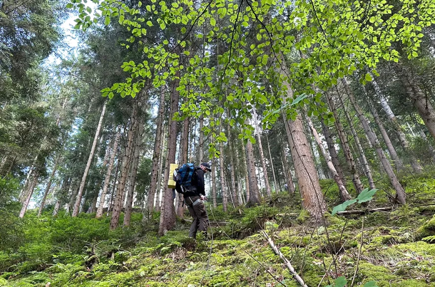 Survival Training Schramberg (1 Tag)