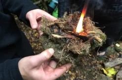 Survival Training Sinsheim