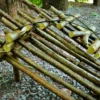 Survival Training St. Gallen