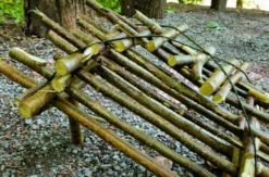 Survival Training St. Gallen
