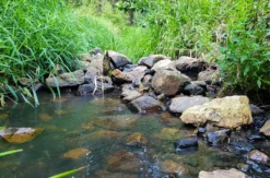 Survival Training Waldkirchen an der Thaya