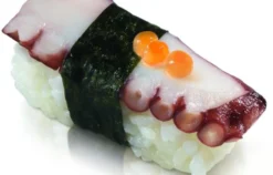 Sushikurs Leipzig