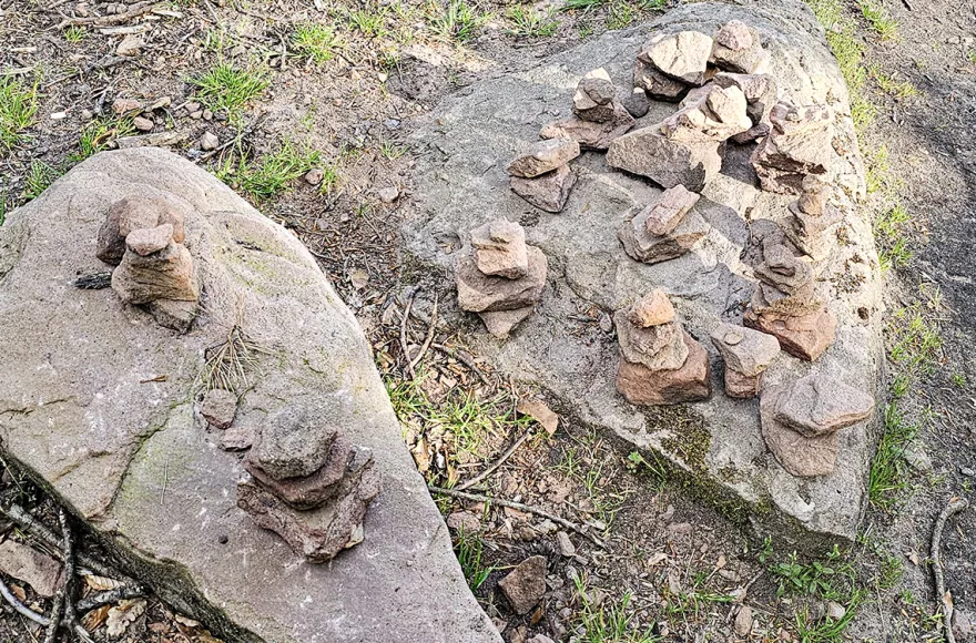 Tagestour mit Eseln Eppenbrunn