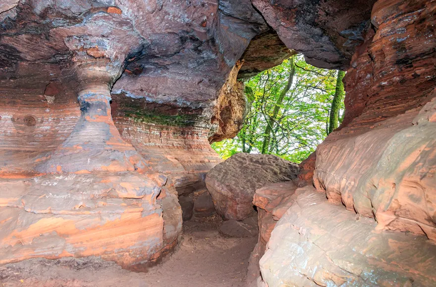 Tagestour mit Eseln Eppenbrunn