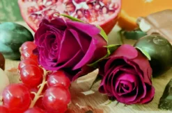 Tasting Aphrodisiaka der Natur Freistadt