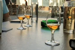 Tequila Tasting Wien Donaustadt