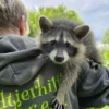 Tiere pflegen Mücke