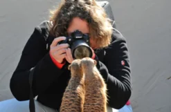 Tierfotografie für Einsteiger im Tierpark