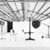 Tier Fotoshooting Linz