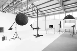 Tier Fotoshooting Linz