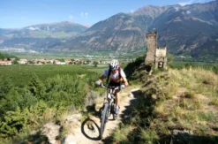 Urlaub in den Bergen für 2