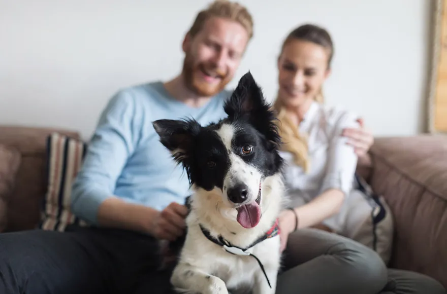 Urlaub in einer Ferienwohnung mit Hund für 2 (2 Nächte) - St. Oswald