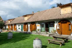 Urlaub mit Freunden im Weinfass Grub an der March