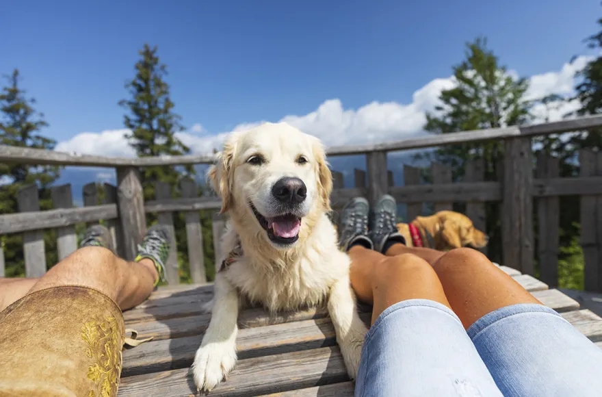 Urlaub mit Hund am Rennsteig für 2 (2 Nächte)