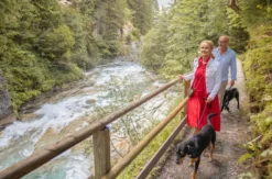 Urlaub mit Hund Bad Gastein