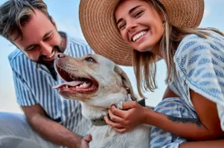 Urlaub mit Hund Dornbirn für 2 (1 Nacht)
