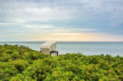 Urlaub mit Hund Fehmarn für 2 (2 Nächte)