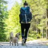 Urlaub mit Hund im Harz für 2 (1 Nacht)
