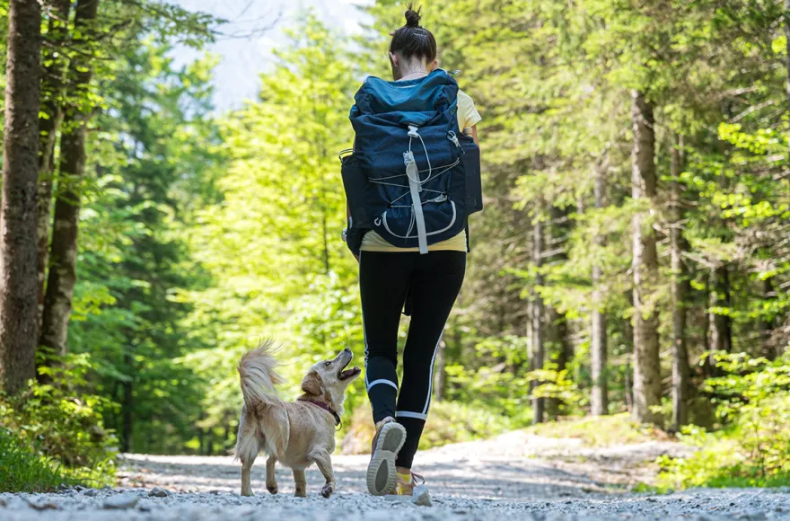 Urlaub mit Hund im Harz für 2 (1 Nacht)