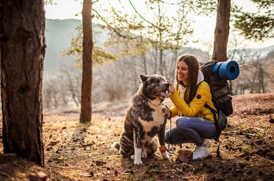Urlaub mit Hund im Harz für 2 (2 Nächte)
