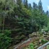 Urlaub mit Hund im Harz für 2 (2 Nächte)