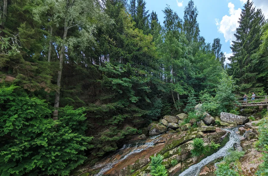 Urlaub mit Hund im Harz für 2 (2 Nächte)