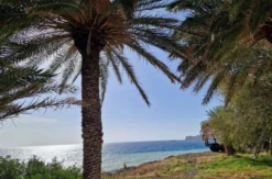 Urlaubsseminar Kreta