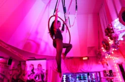 Varieté Show in Berlin für 2