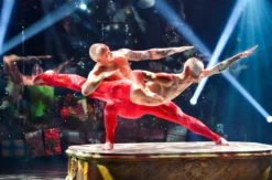 Varieté Show in Düsseldorf (Okt. - Jan. / Fr. - Sa. / Rang)