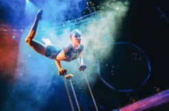 Varieté Show & Menü Leipzig (März-September, Fr.-Sa.)