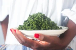Veganer afrikanischer Kochkurs Berlin