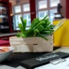 Veganer Kochkurs Dresden