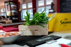 Veganer Kochkurs Dresden