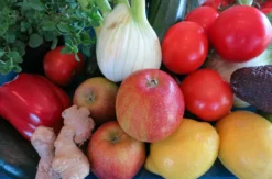 Veganer Kochkurs Schwetzingen