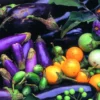 Vegetarische Rezepte lernen Basel
