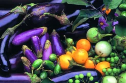 Vegetarische Rezepte lernen Basel