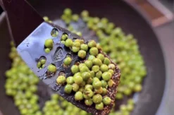 Vegetarischer Kochkurs Leinfelden