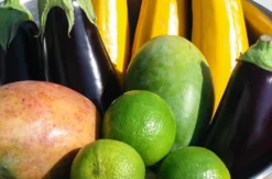 Vegetarischer Kochkurs Schwetzingen