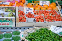Viktualienmarkt Probiertour München (Trends & vegan)