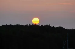 Vollmond Weinwanderung Schriesheim