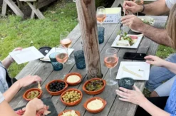 VW Bulli Tour mit Picknick Bochum