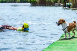 Wakeboarding in Südfrankreich